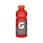Gatorade Fruit Punch 